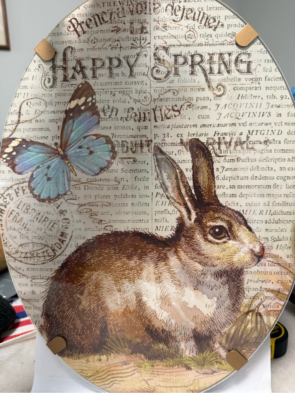 Happy Spring Bunny Wall Decor - Blue Butterfly & Brown Rabbit